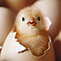 The Quantum-Touch Blog!